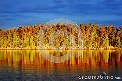 Evening sun on pine forest by a lake Stock Photo