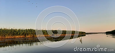 Evening sunset on the river. The Volga river. Fishing. Peals. Reeds. Stock Photo