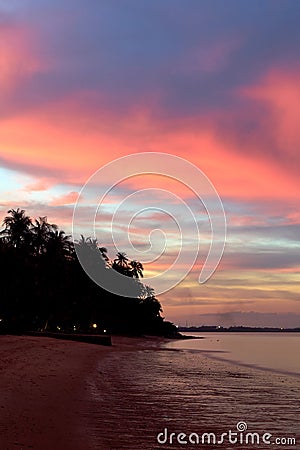 Evening sunset on the beach with palms Stock Photo