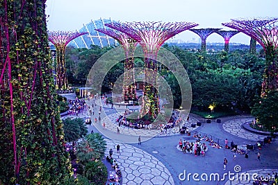 Evening supergrove trees in Gardens By the Bay Editorial Stock Photo