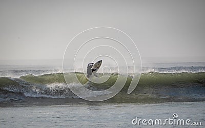 Evening surfing in Huanchaco Editorial Stock Photo