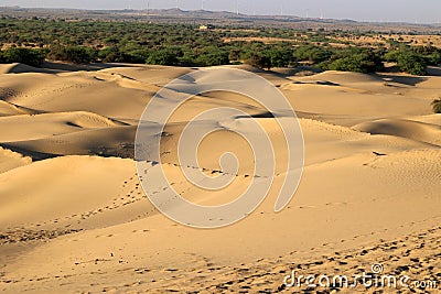 Evening in Thar desert in Rajasthan Stock Photo