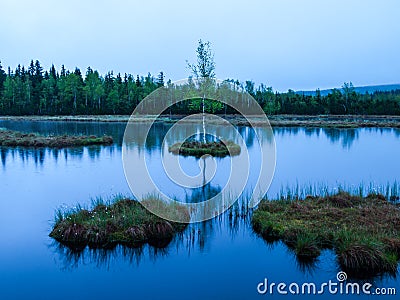 Evening time at Chalupska Moor Lake near Borova Lada, Sumava Mountains, Czech Republic, Europe Stock Photo