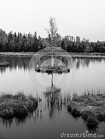 Evening time at Chalupska Moor Lake near Borova Lada, Sumava Mountains, Czech Republic, Europe Stock Photo