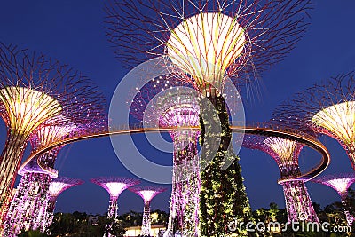 Evening View of the Supertree Grove Stock Photo