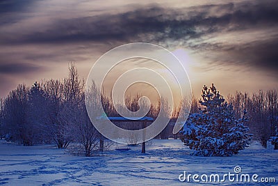 Evening winter landscape in the forest with trampled footprints in the snow, sunset Stock Photo