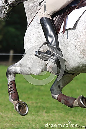 Eventing Stock Photo