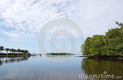Everglades, Florida, USA Stock Photo