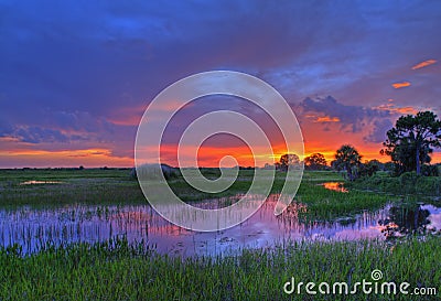 Everglades sunset Stock Photo