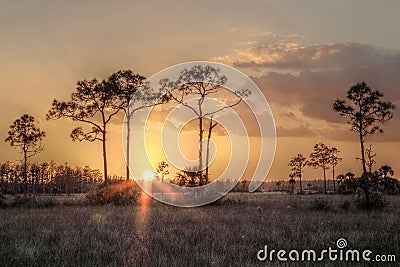 Everglades Sunset Stock Photo