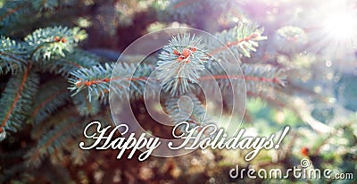 evergreen fir branches banner for Christmas holidays Cartoon Illustration