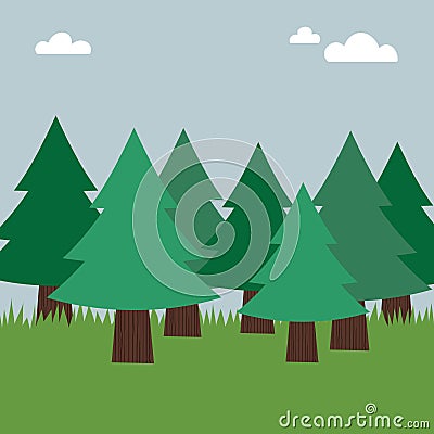 Evergreen forest Stock Photo