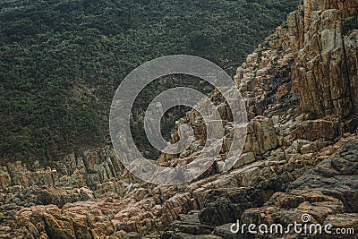 Evergreen forest beyond mountain stone creek Stock Photo