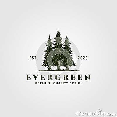 Evergreen logo vintage illustration design, pine trees logo Vector Illustration