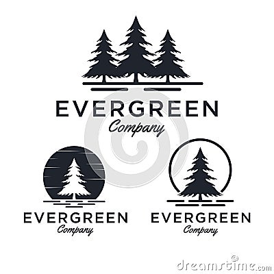 Evergreen / Pine tree Logo design inspiration - Vector Stock Photo