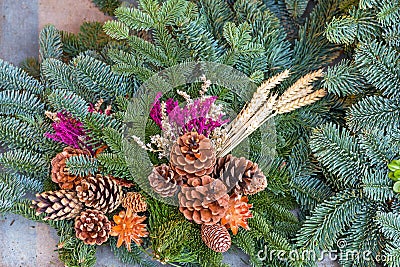 Evergreen Pinecones Decor Stock Photo