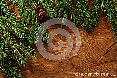 Evergreen tree background Stock Photo