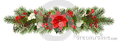 Evergreen twigs of Christmas tree, poinsettia flower, berries an Stock Photo