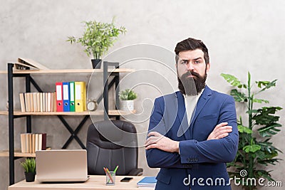 Every boss started as worker. Man bearded hipster boss looking at you with attention. Boss standing in office. Boss Stock Photo