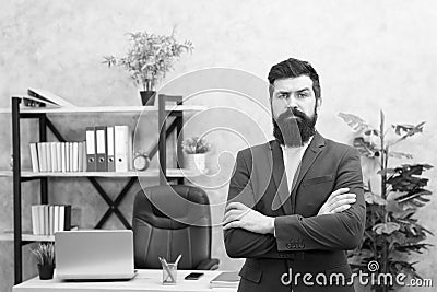 Every boss started as worker. Man bearded hipster boss looking at you with attention. Boss standing in office. Boss Stock Photo
