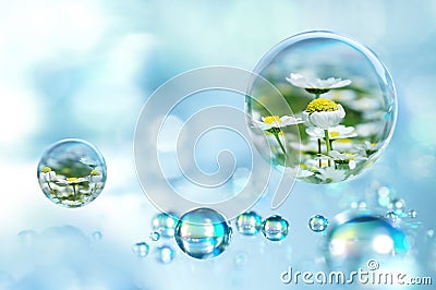 Every raindrop has a spring within Stock Photo