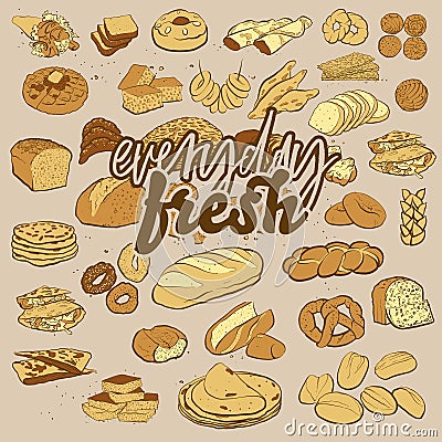 Everyday fresh colored label Vector Illustration