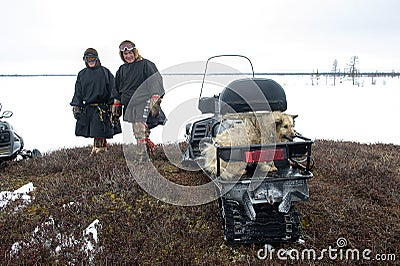 Everyday life of Russian aboriginal reindeer herders in the Arctic. Editorial Stock Photo