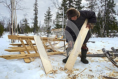 Everyday life of Russian aboriginal reindeer herders in the Arctic. Editorial Stock Photo