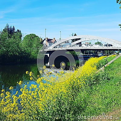 Evesham,Bridge, flowers, morning, river, gras Stock Photo
