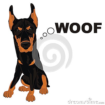 Dog sit and say woof Stock Photo