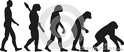 Evolution backwards vector Vector Illustration