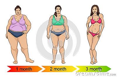 Evolution of the female body from fat to thin Vector Illustration