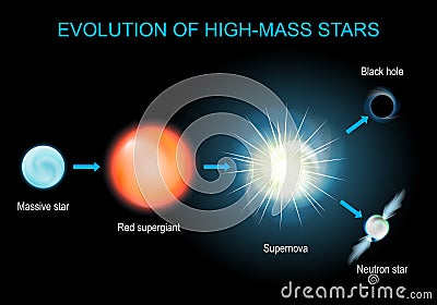 Evolution of high-mass stars Vector Illustration