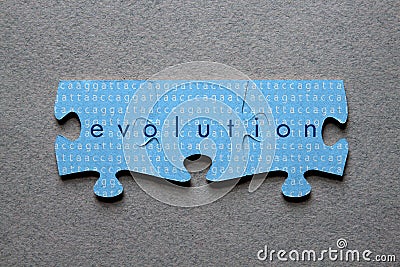 Evolution Jigsaw Matched Stock Photo