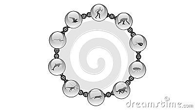 Evolution of species illustration Vector Illustration