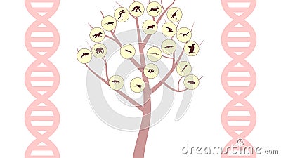 Evolution tree illustration Vector Illustration