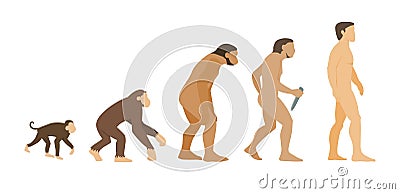 Evolution Vector Illustration