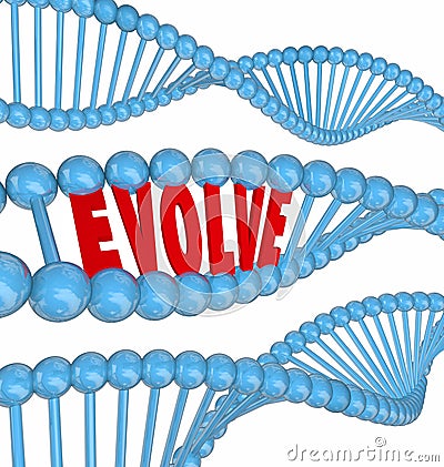 Evolve DNA Word Improve Enhance Get Better Growth Stock Photo