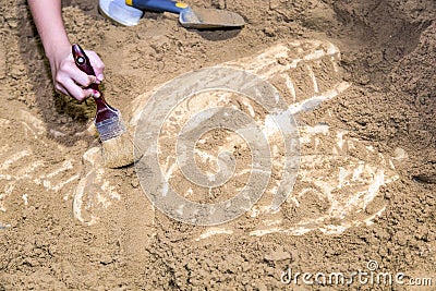 Excavating dinosaur fossils simulation in the park Stock Photo
