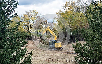 Excavator with Claw Hauling Uprooted Trees Away Stock Photo