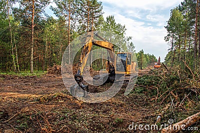 Excavator Grapple during clearing forest for new development. Tracked Backhoe with forest clamp for forestry work. Tracked timber Stock Photo
