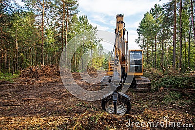 Excavator Grapple during clearing forest for new development. Tracked Backhoe with forest clamp for forestry work. Tracked timber Stock Photo