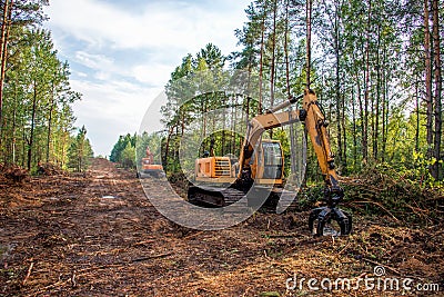 Excavator Grapple during clearing forest for new development. Tracked Backhoe with forest clamp for forestry work. Tracked timber Stock Photo