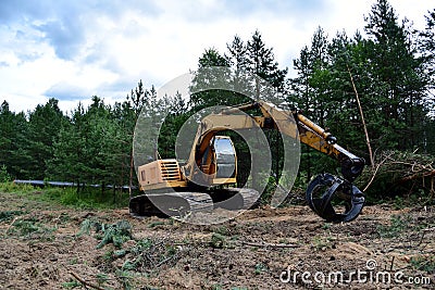 Excavator Grapple during clearing forest for new development. Tracked Backhoe with forest clamp for forestry work. Tracked timber Stock Photo