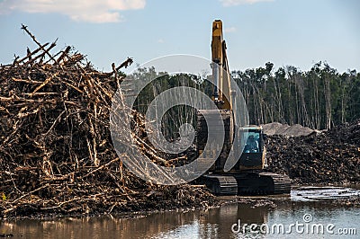 An excavator machine piling dead trees. Editorial Stock Photo