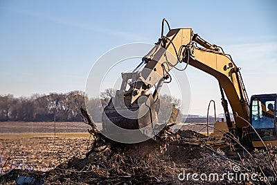 Excavator machinery moving trees and debris into a fire pit Stock Photo