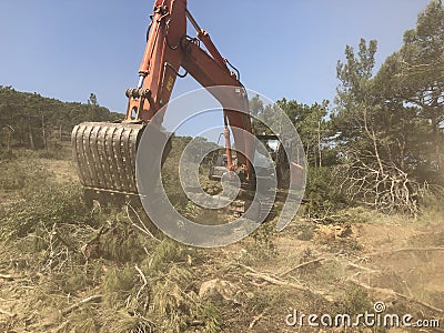 Excavator uproots stumps of cutted trees in the coniferous highland forest Stock Photo