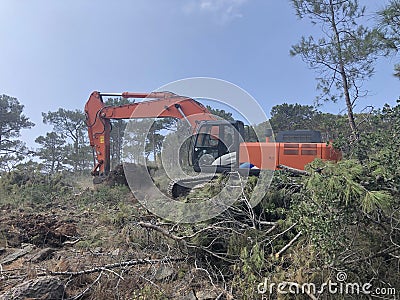 Excavator uproots stumps of cutted trees in the coniferous highland forest Stock Photo