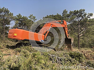 Excavator uproots stumps of cutted trees in the coniferous highland forest Stock Photo