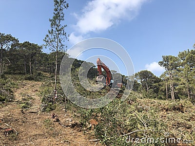 Excavator uproots stumps of cutted trees in the coniferous highland forest Stock Photo